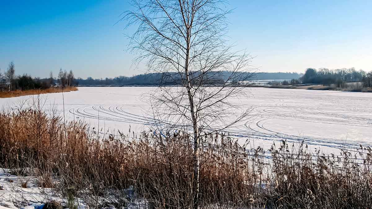 Pirmledžio lydekos. Apie siauras eketes, slidų ledą ir raudonus sparnus Pirmledžio lydekos. Apie siauras eketes, slidų ledą ir raudonus sparnus