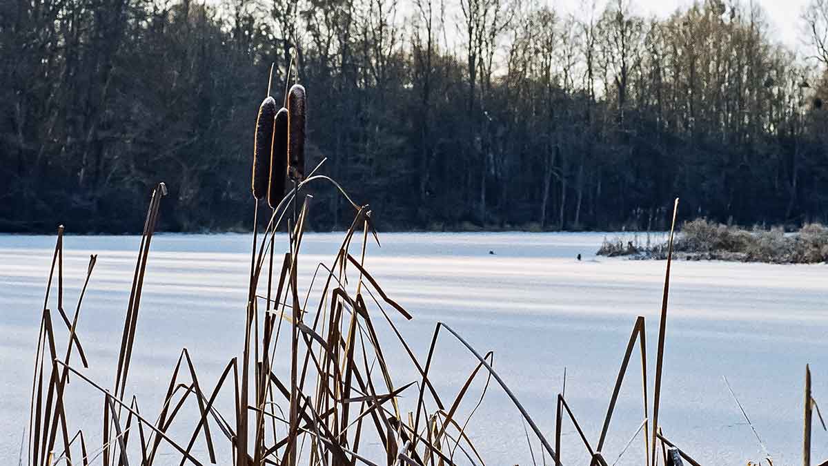 Užtemdyti eketę ar ne? Antra dalis Užtemdyti eketę ar ne? Antra dalis