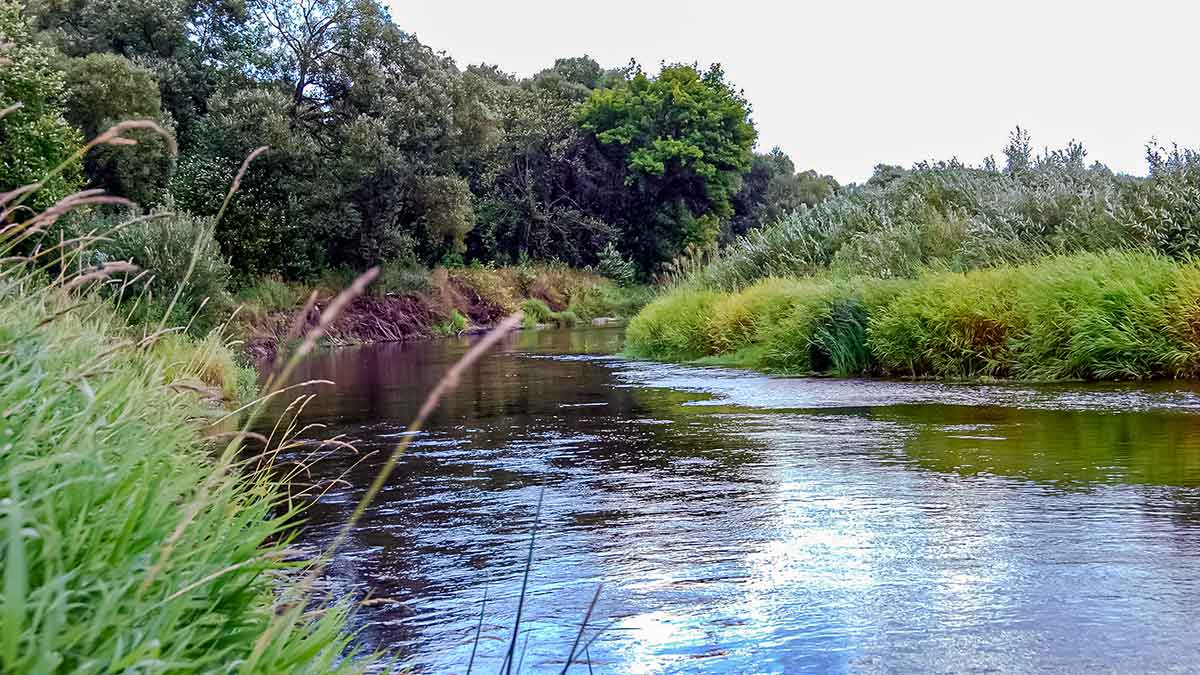 Sukis, lapeli, sukis... Apie lydekas, šapalus ir meknes Sukis, lapeli, sukis... Apie lydekas, šapalus ir meknes