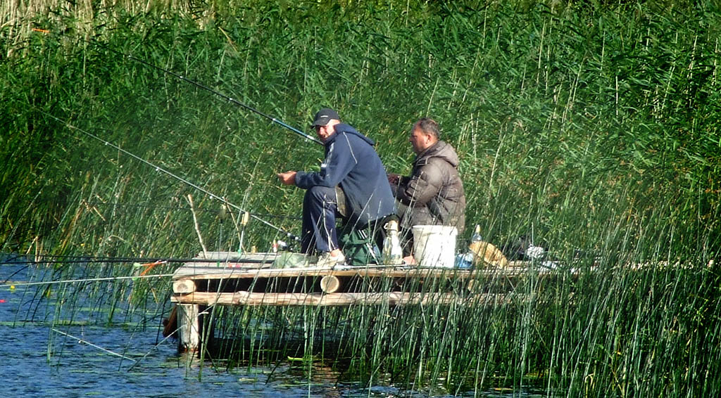 Kaip parinkti ritę plūdinei meškerei? Kaip parinkti ritę plūdinei meškerei?