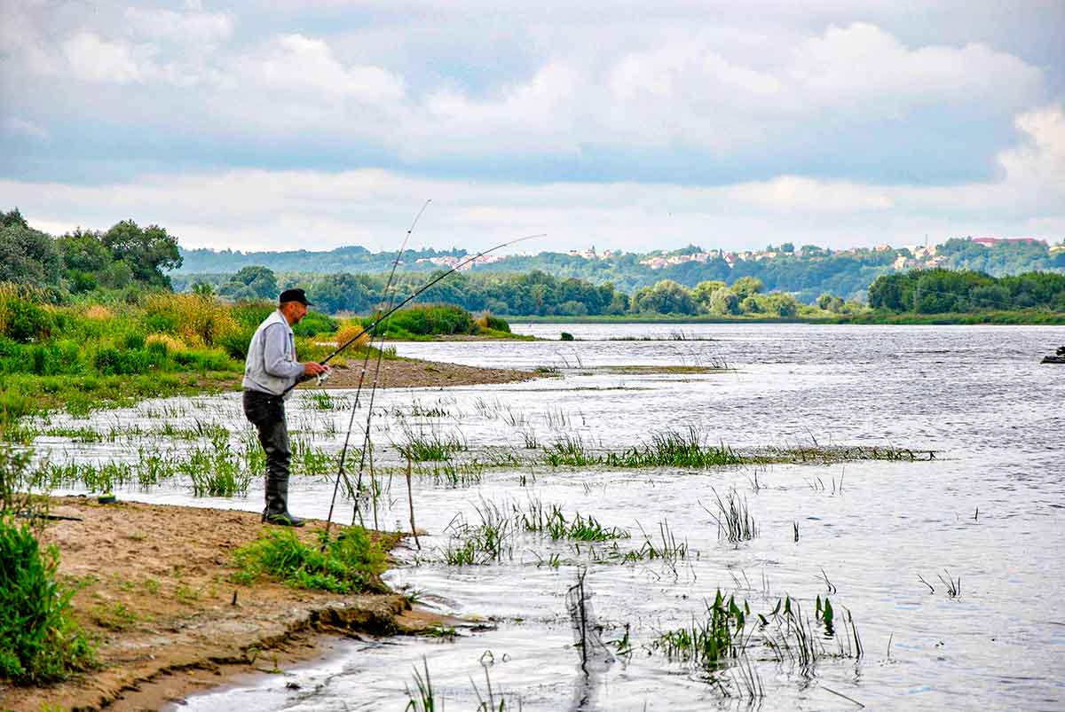 Dugninė. Karklo šaka ar specialus stovelis? Pirma dalis Dugninė. Karklo šaka ar specialus stovelis? Pirma dalis