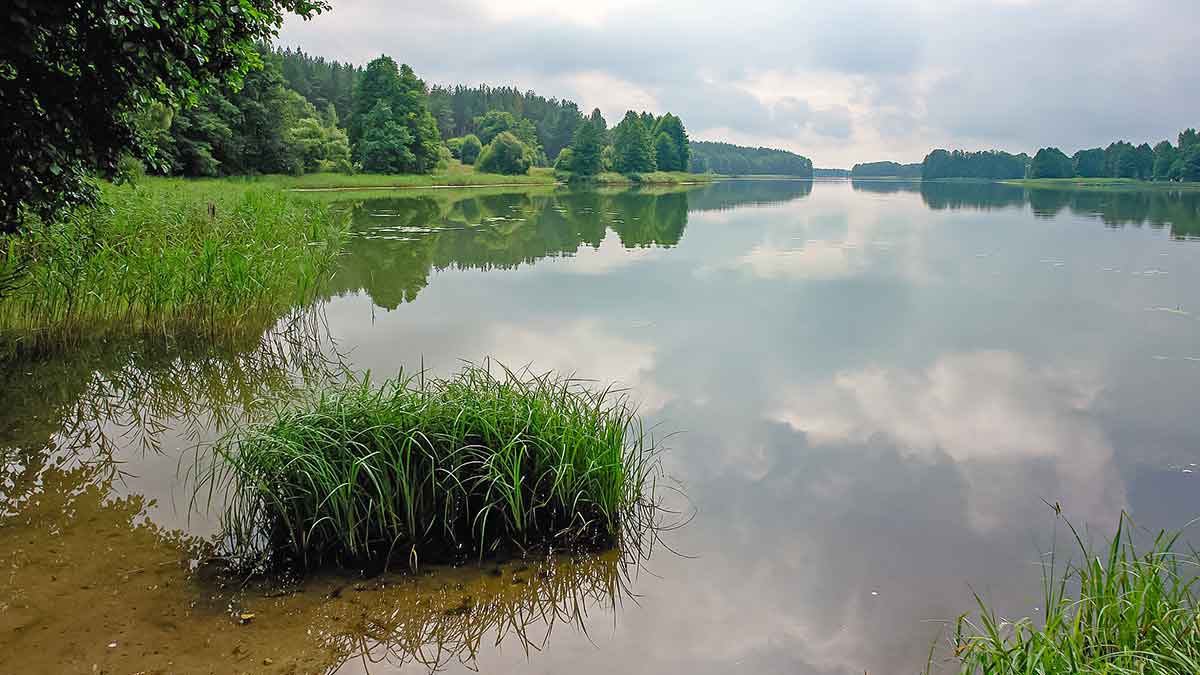 Mažesnių nei metras – negaudysim! Bendrais bruožais apie masalus Mažesnių nei metras – negaudysim! Bendrais bruožais apie masalus