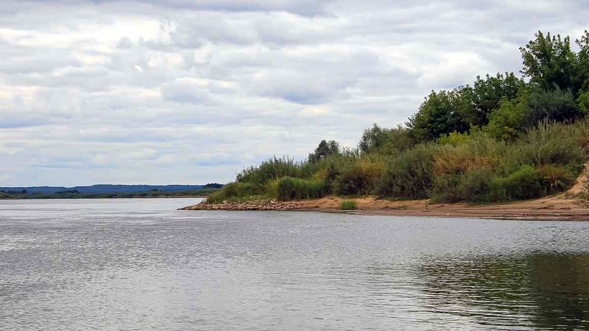 Šamo gundymas vobleriais Šamo gundymas vobleriais