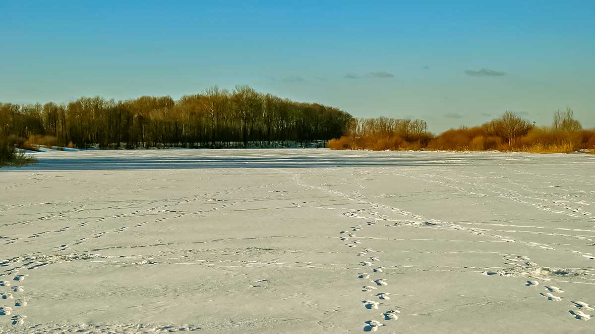 Avižėlė be masalo. Kabliuko „priedai“ Avižėlė be masalo. Kabliuko „priedai“