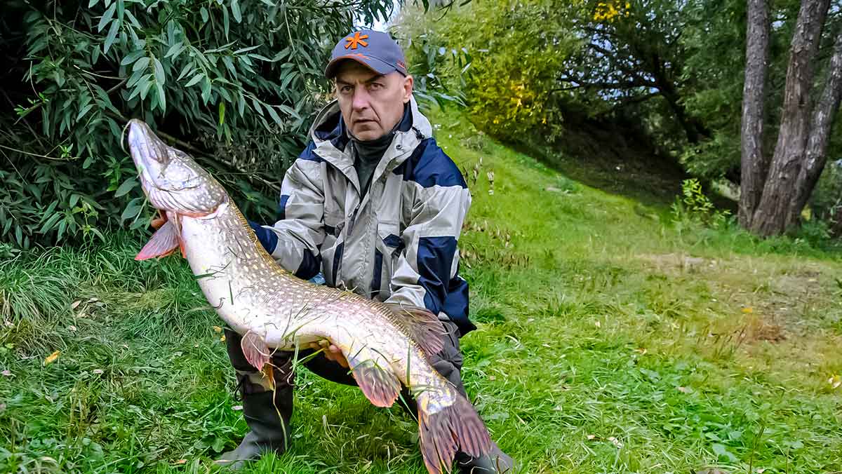 Salmo „Elite Jig&Twitch“ – didelės galimybės už mažą kainą Salmo „Elite Jig&Twitch“ – didelės galimybės už mažą kainą