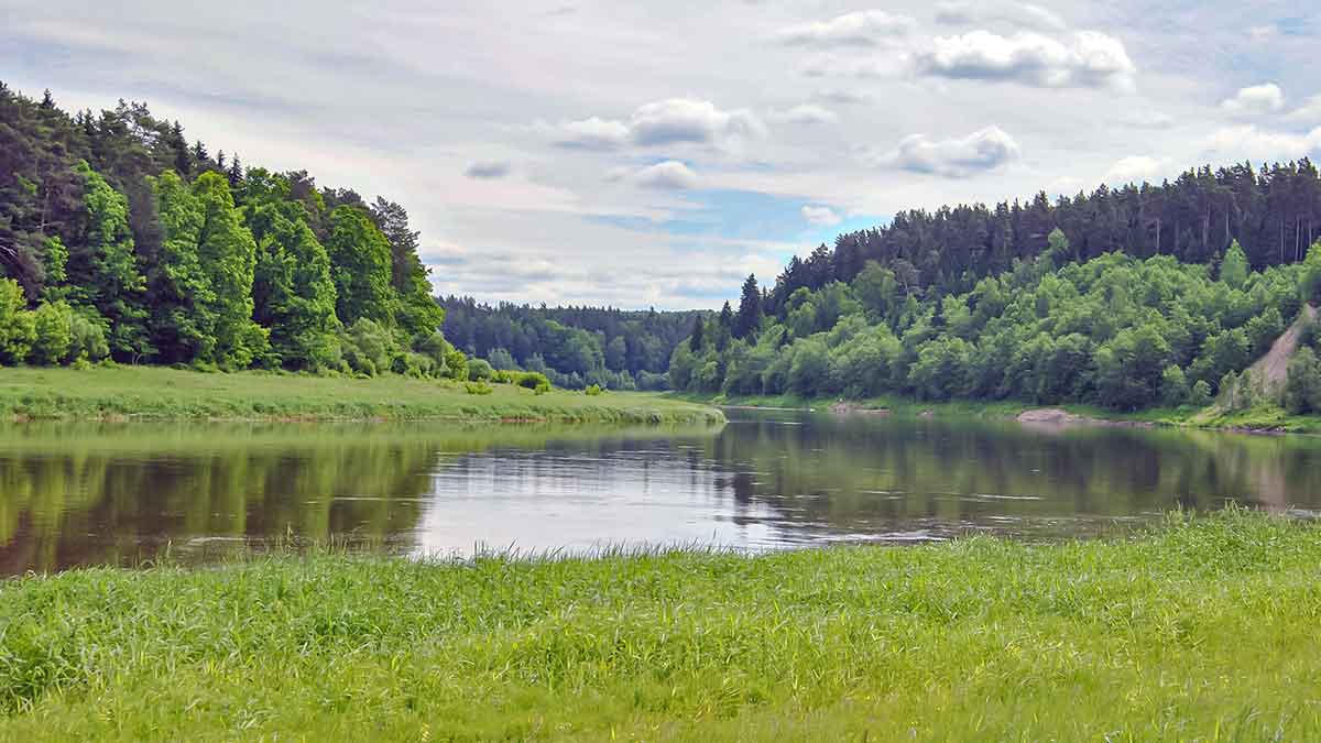 Nemuno kilpomis nuo Alytaus iki Prienų Nemuno kilpomis nuo Alytaus iki Prienų