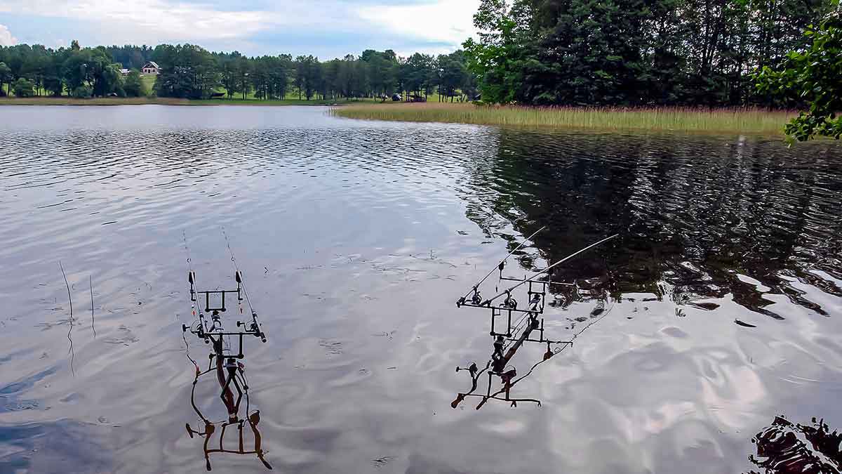 Karpiavimas ekstremaliomis sąlygomis. Rumuniška ir lietuviška patirtis Karpiavimas ekstremaliomis sąlygomis. Rumuniška ir lietuviška patirtis