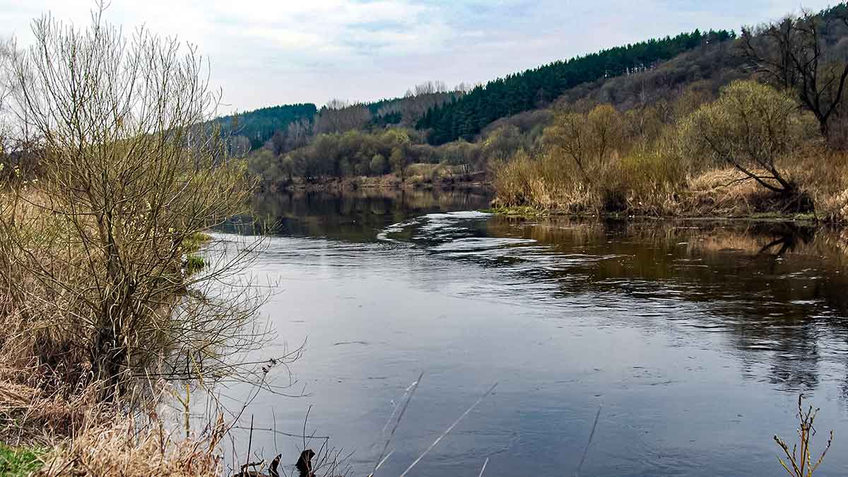 Su spiningu kovą ir balandį. Pirma dalis Su spiningu kovą ir balandį. Pirma dalis