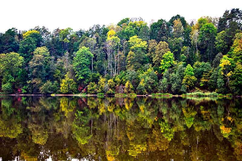 Lydekos rugsėjo mėnesį.  Kai vanduo per anksti išskaidrėja Lydekos rugsėjo mėnesį.  Kai vanduo per anksti išskaidrėja