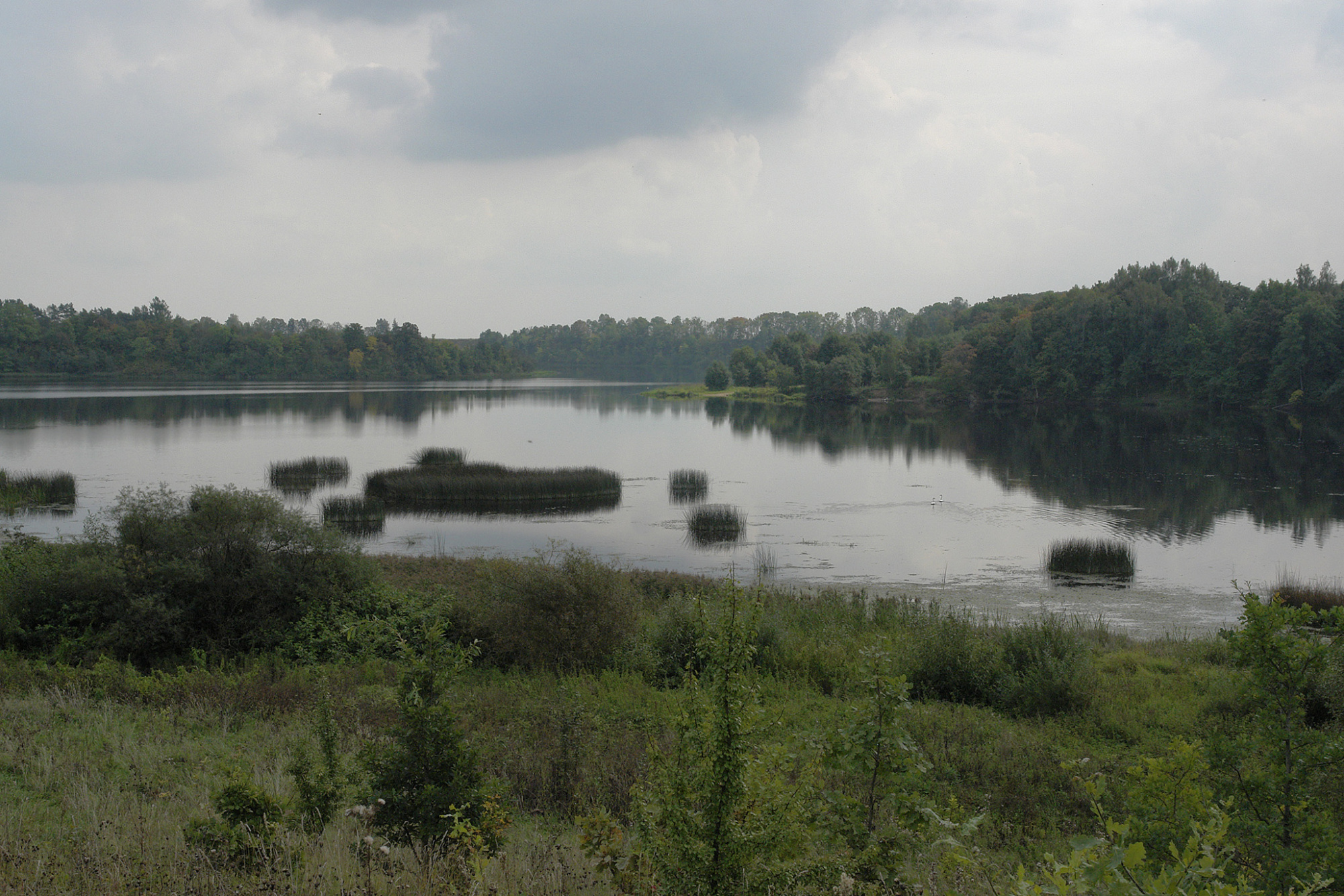 Sužvejokime retai pagaunamą žuvį. Amūras – pliusas ar minusas mūsų vandenims? Sužvejokime retai pagaunamą žuvį. Amūras – pliusas ar minusas mūsų vandenims?