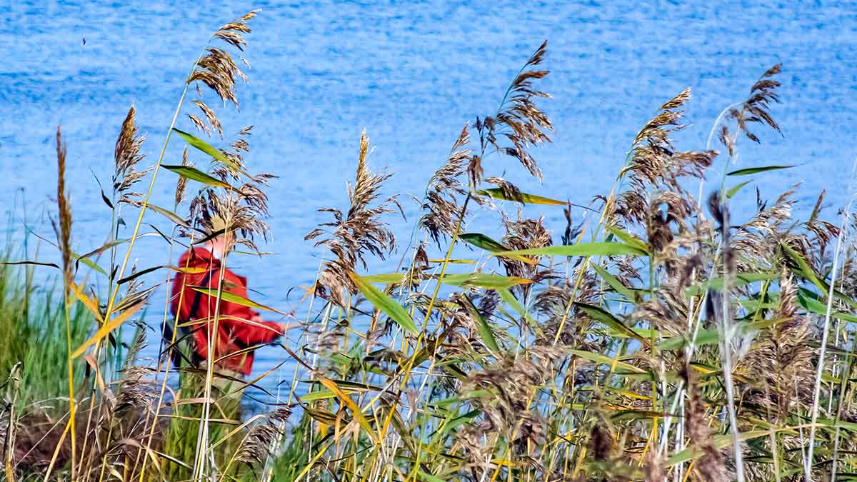 Sukis, lapeli, sukis... Sukriukės, kurioms likau ištikimas Sukis, lapeli, sukis... Sukriukės, kurioms likau ištikimas