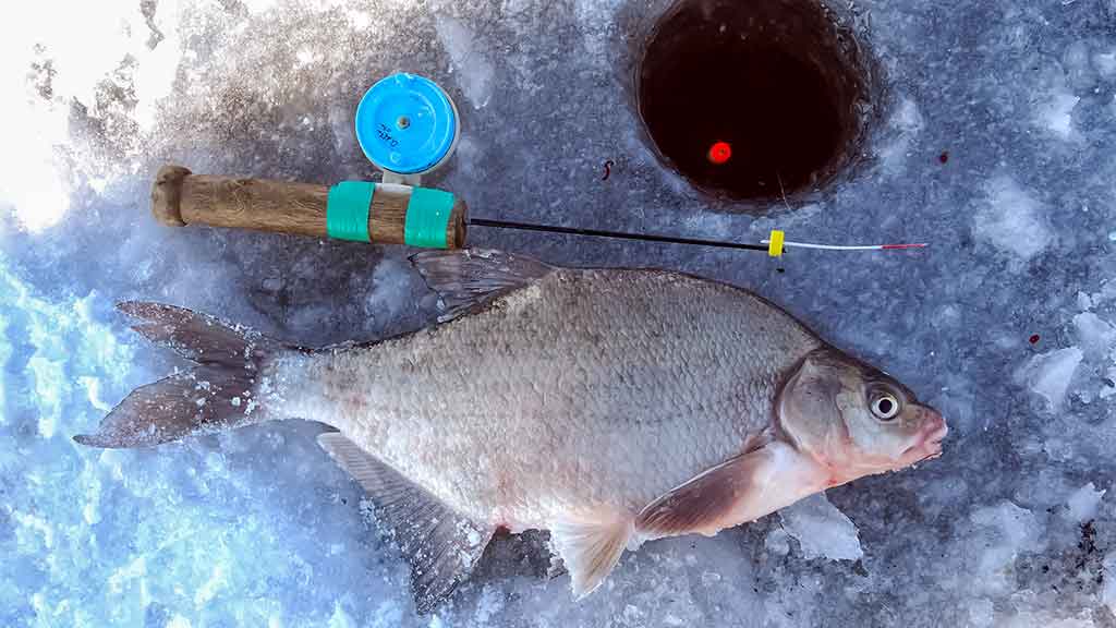 Užtemdyti eketę ar ne? Užtemdyti eketę ar ne?