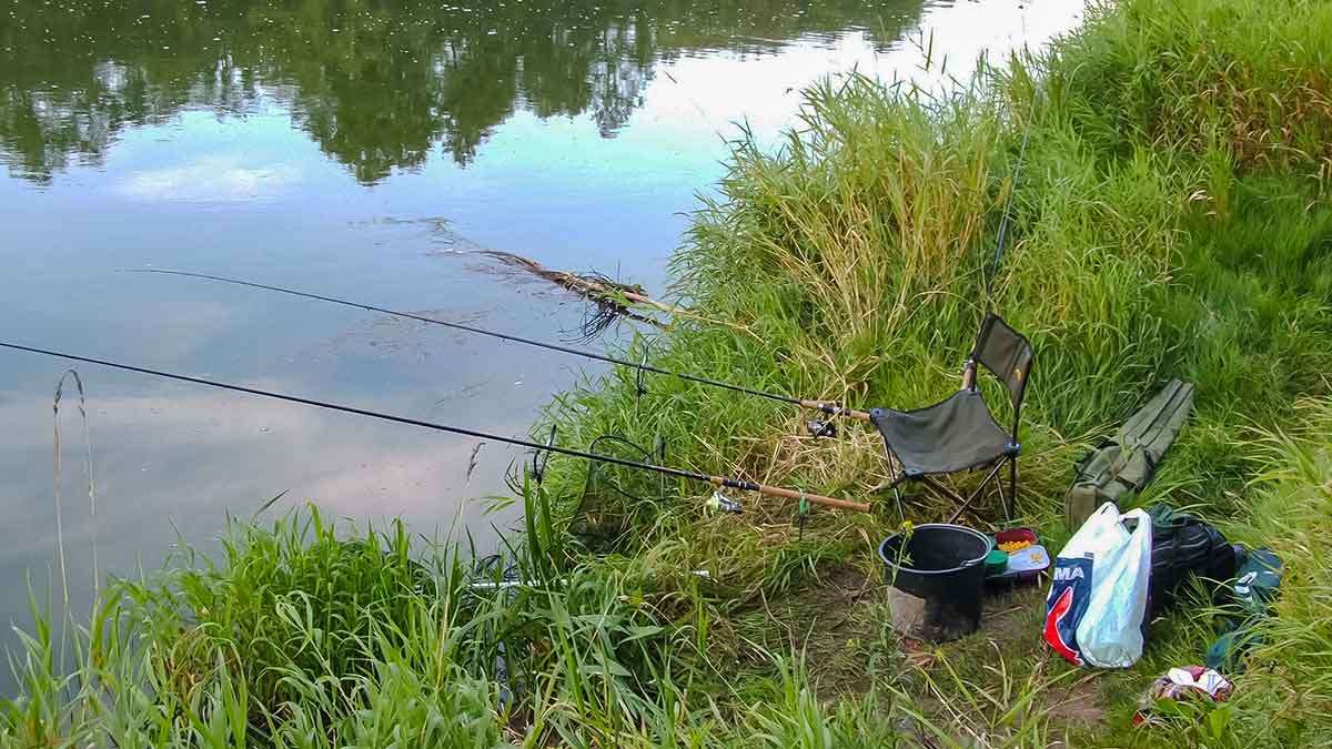 Šapalus – lyg karpius Šapalus – lyg karpius