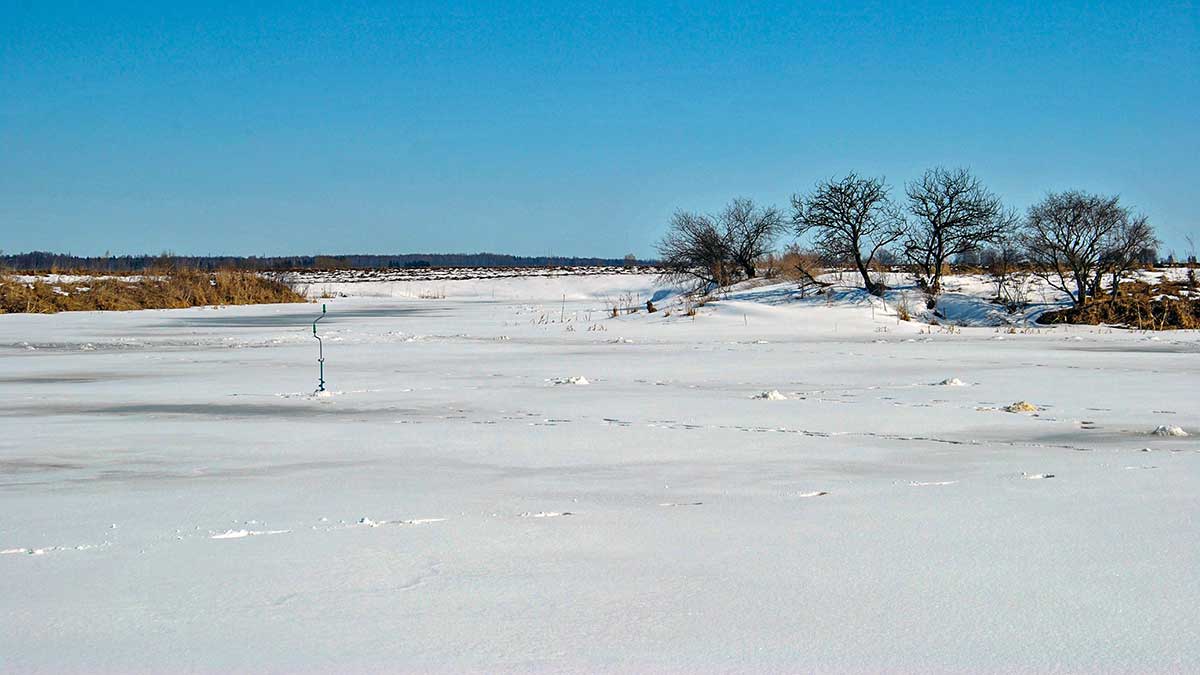 Viduržiemio ešeriai Viduržiemio ešeriai