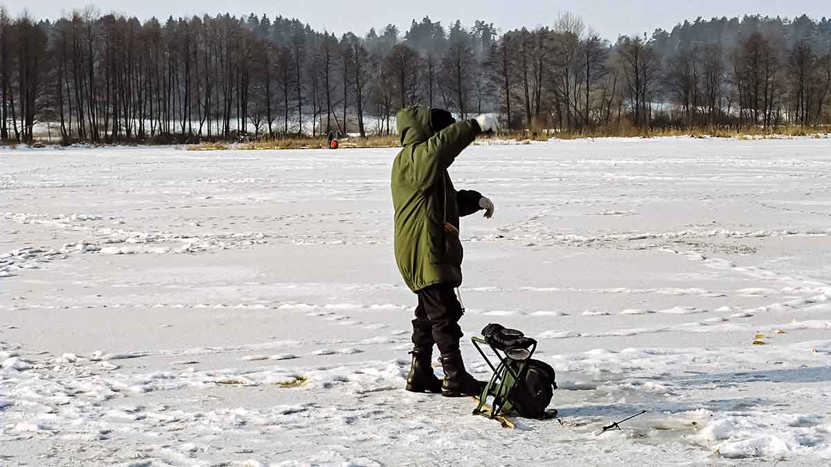 Viduržiemy su avižėle Viduržiemy su avižėle