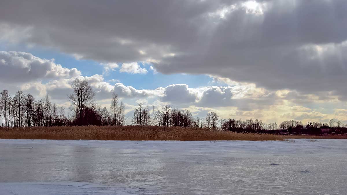Pirmledžio lydekos. Kai plėšrūnės neranda sau vietos Pirmledžio lydekos. Kai plėšrūnės neranda sau vietos