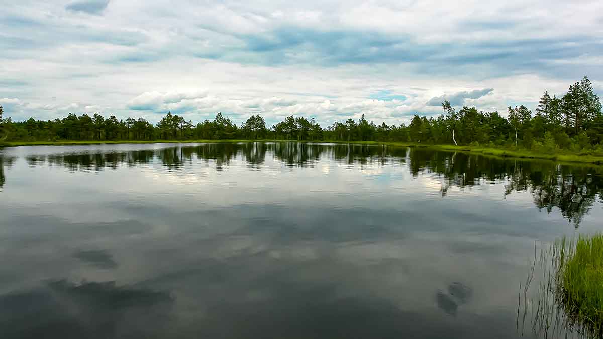 Kur geriausiai gaudyti pirmąją lydeką Kur geriausiai gaudyti pirmąją lydeką