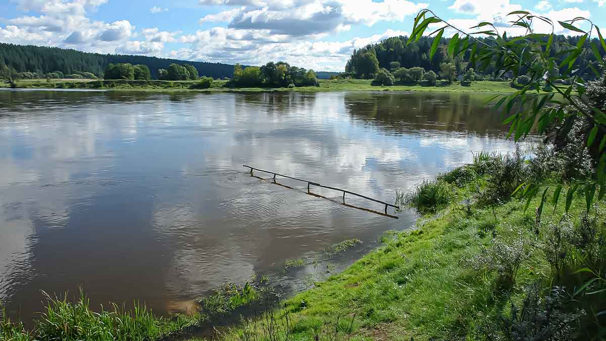 Kaip pagauti Nemune karpį. Žūklės taktika, įranga ir visa kita Kaip pagauti Nemune karpį. Žūklės taktika, įranga ir visa kita