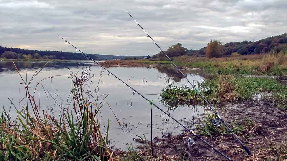 Jei lydekos nekibs, eisim gaudyti karšių. Pirma dalis Jei lydekos nekibs, eisim gaudyti karšių. Pirma dalis