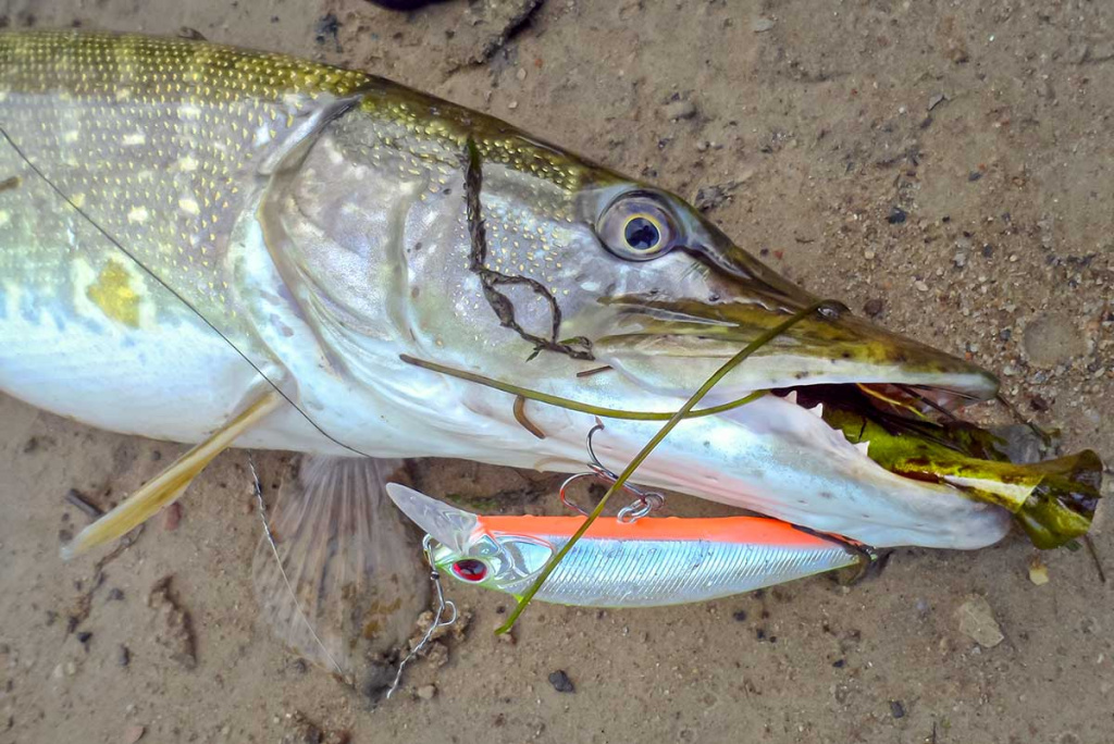 Ar sunku įsisavinti tvičingą? Pavadėliai ir cast tipo įranga Ar sunku įsisavinti tvičingą? Pavadėliai ir cast tipo įranga