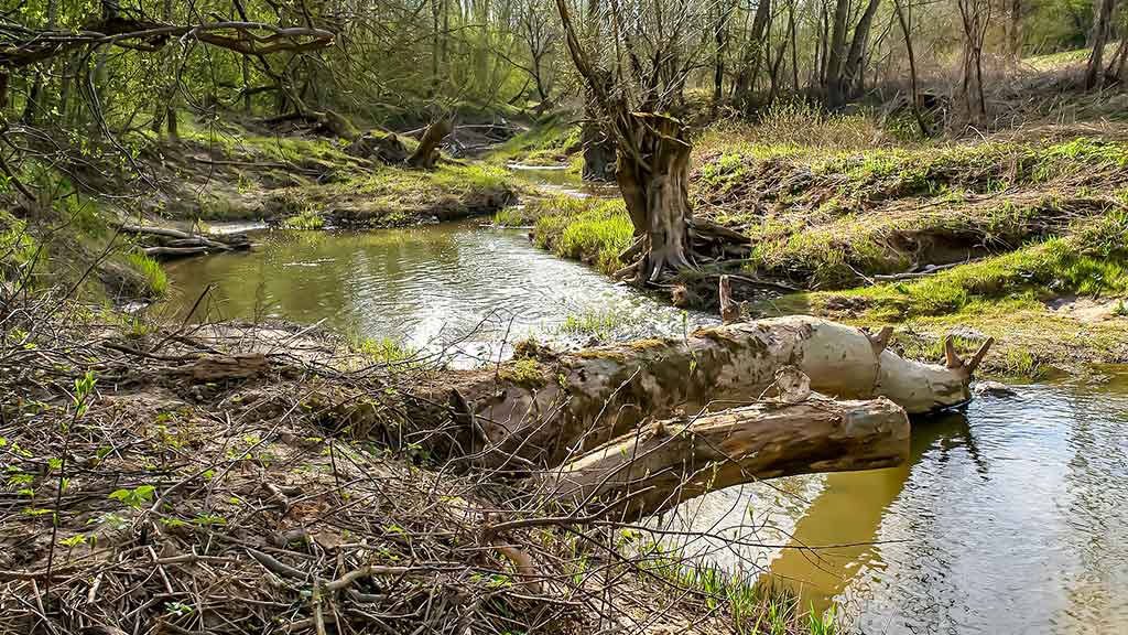 Masalas, kuris neturėjo pavadinimo Masalas, kuris neturėjo pavadinimo