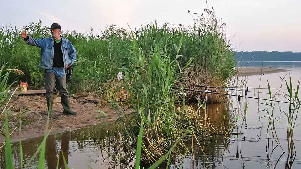 Kiekvienoje baloje savos taisyklės. Pirma dalis Kiekvienoje baloje savos taisyklės. Pirma dalis
