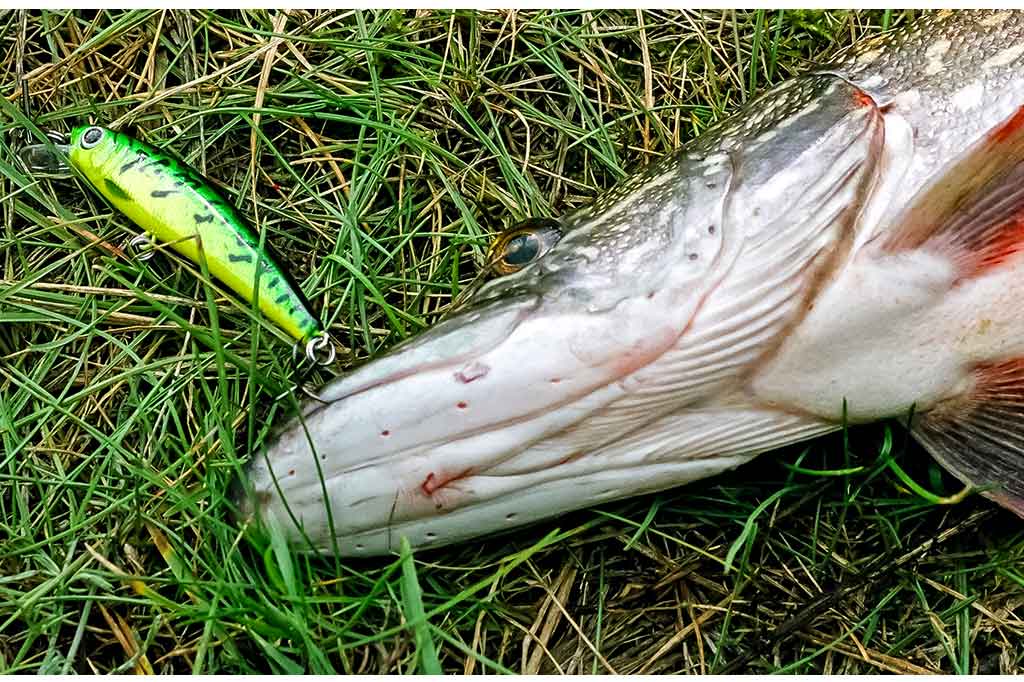 Voblerių dažymas. Ką dar galėčiau pasakyti... Voblerių dažymas. Ką dar galėčiau pasakyti...