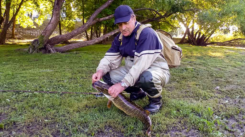 Kodėl kitiems kimba, o man – ne Kodėl kitiems kimba, o man – ne