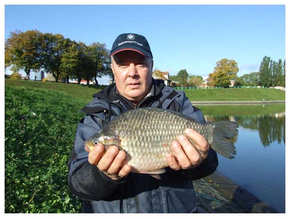 Stambių karosų yra daugelyje vandens telkinių, tačiau kimba jie atokiau nuo kranto, todėl sugaunami dažniausiai dugninėmis Stambių karosų yra daugelyje vandens telkinių, tačiau kimba jie atokiau nuo kranto, todėl sugaunami dažniausiai dugninėmis
