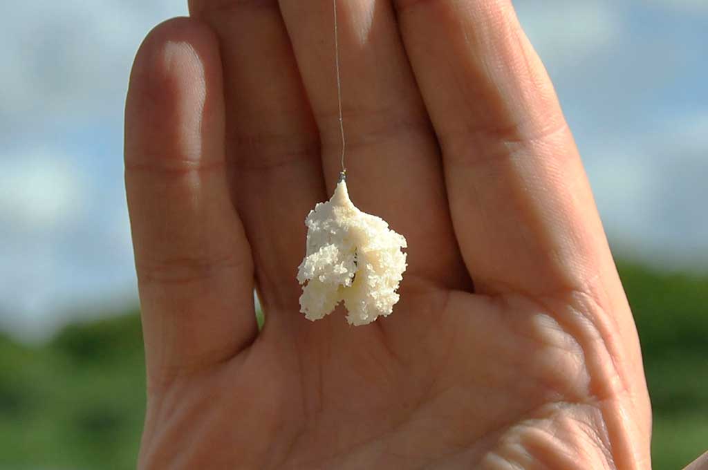 Jaukas šapalui - gabalėlis batono Jaukas šapalui - gabalėlis batono