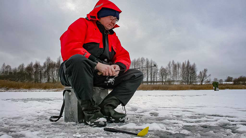Viduržiemy su avižėle Viduržiemy su avižėle