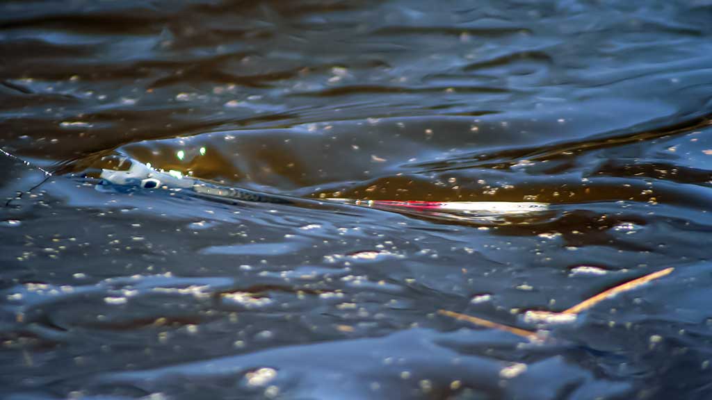 Masalas, kuris neturėjo pavadinimo Masalas, kuris neturėjo pavadinimo