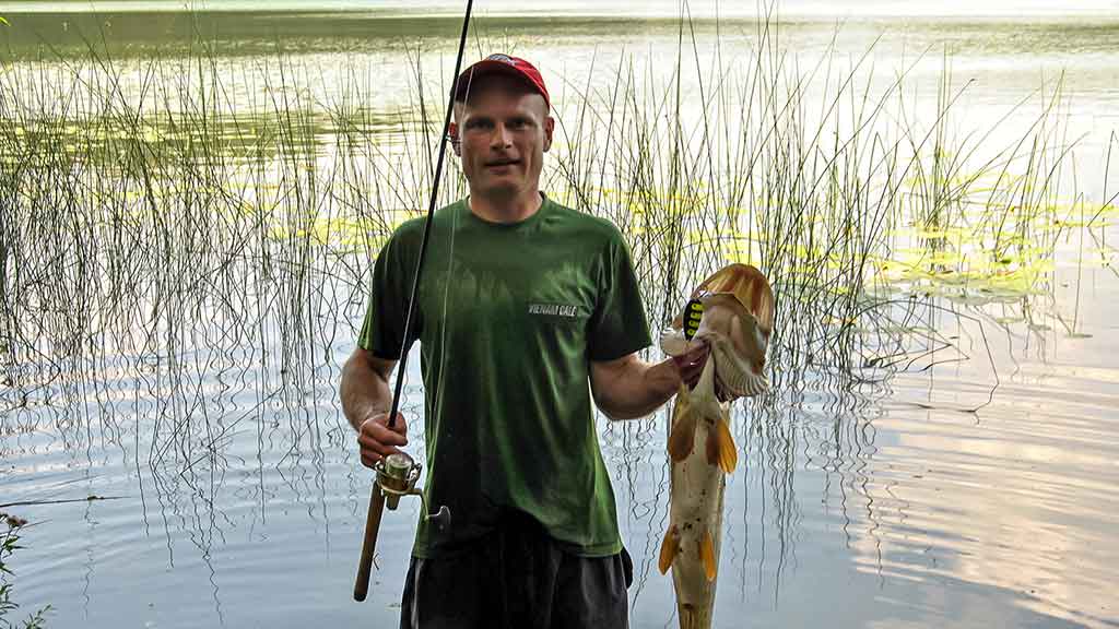 Lydekos, metaliniai masalai, panašumai ir kontrastai Lydekos, metaliniai masalai, panašumai ir kontrastai