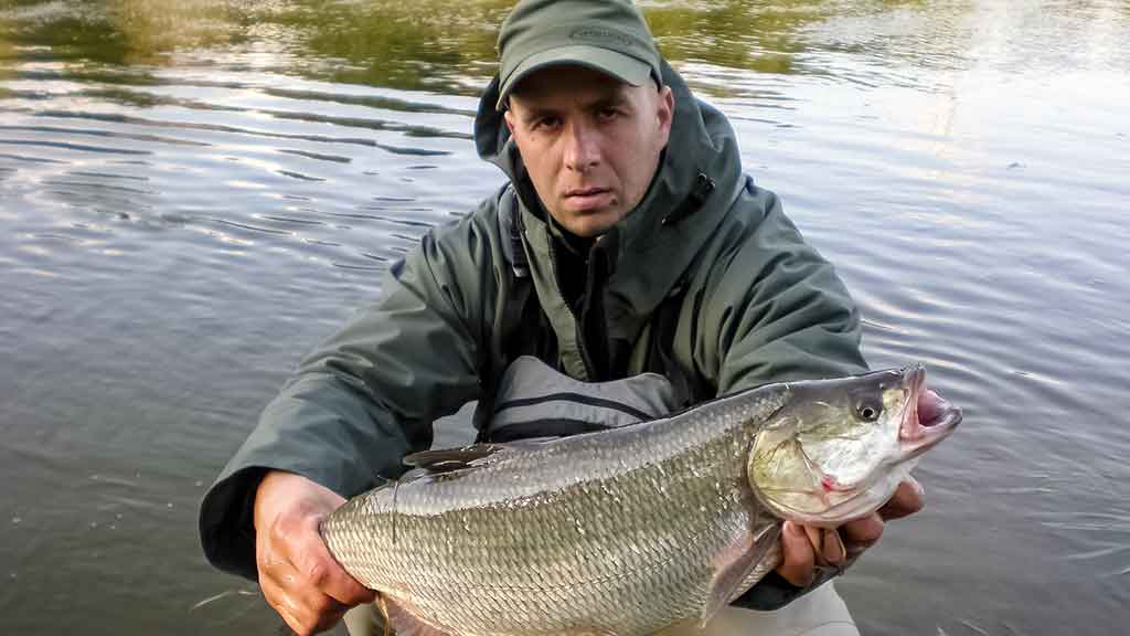 Kodėl kitiems kimba, o man – ne Kodėl kitiems kimba, o man – ne
