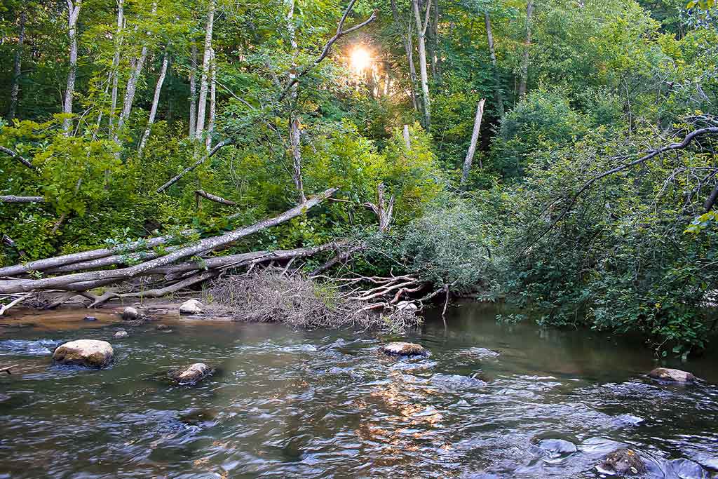 Upėtakių gaudymas sukriukėmis. Besibaigiant pavasariui ir vasarą Upėtakių gaudymas sukriukėmis. Besibaigiant pavasariui ir vasarą