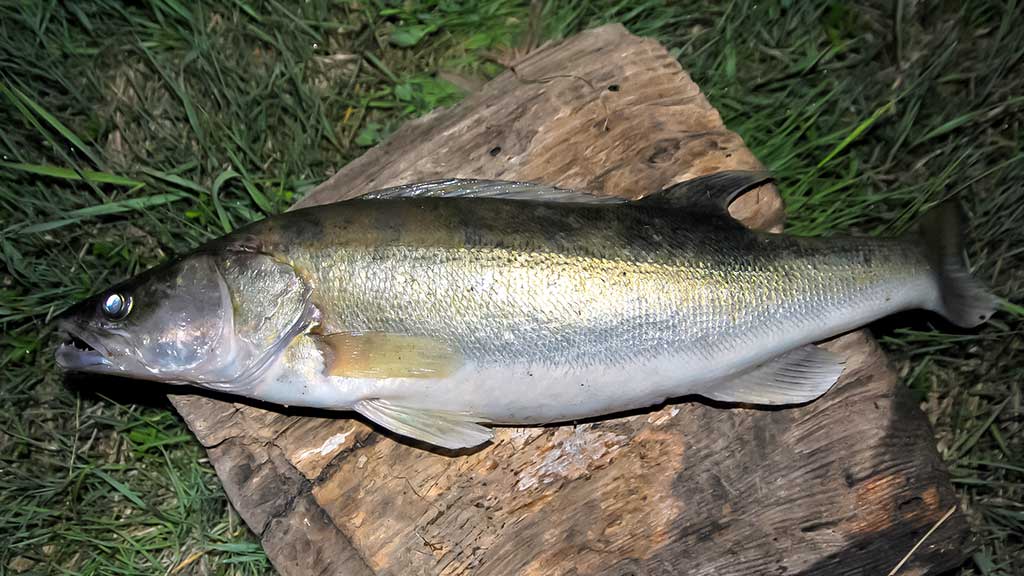 DSC_0053-1.jpg DSC_0053-1.jpg