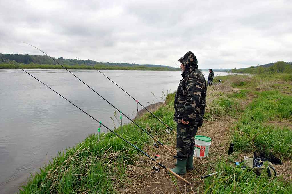 Geriau dugninė su šėryklėle ar be jos? Geriau dugninė su šėryklėle ar be jos?