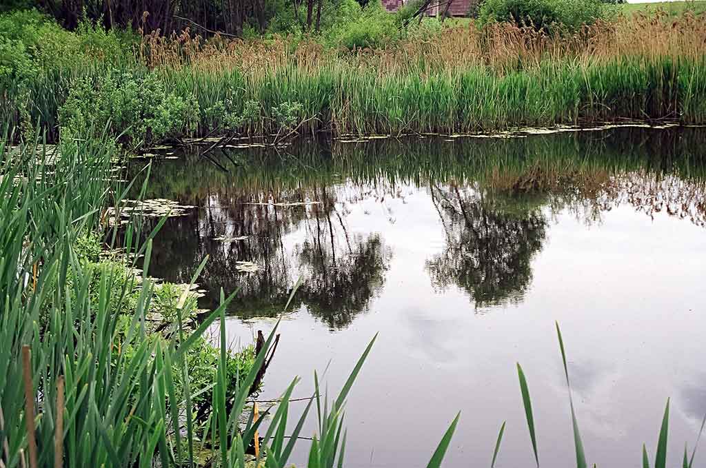 Karosai ir rudens alsavimas Karosai ir rudens alsavimas