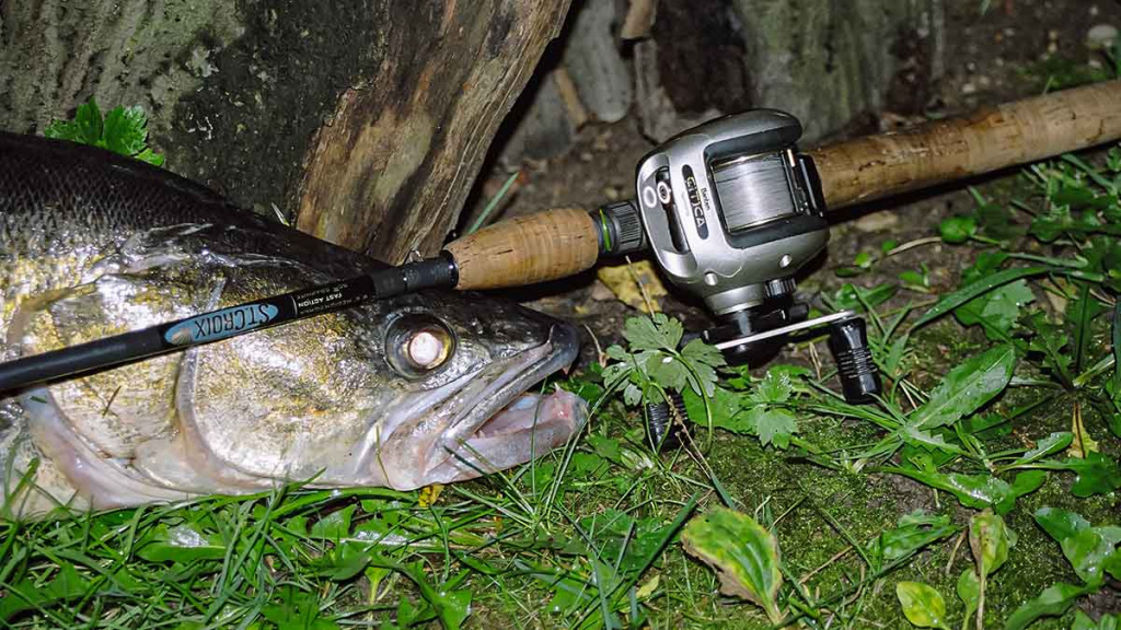 Ar sunku įsisavinti tvičingą? Pavadėliai ir cast tipo įranga Ar sunku įsisavinti tvičingą? Pavadėliai ir cast tipo įranga