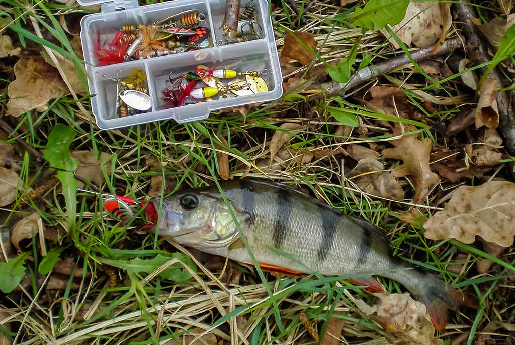 Kaip sukriukę nusviesti iki kito kranto. Pirma dalis Kaip sukriukę nusviesti iki kito kranto. Pirma dalis