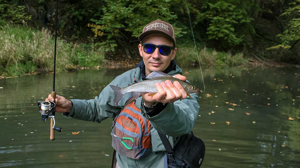 Kas upelyje gyvena. Pirma dalis Kas upelyje gyvena. Pirma dalis