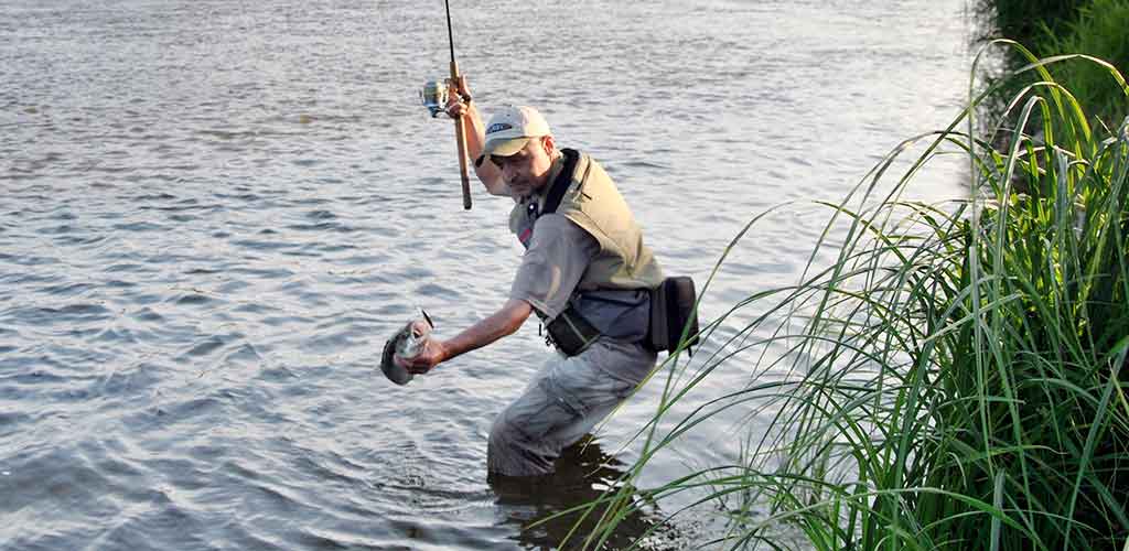 Vidurvasario šešėliuose Vidurvasario šešėliuose