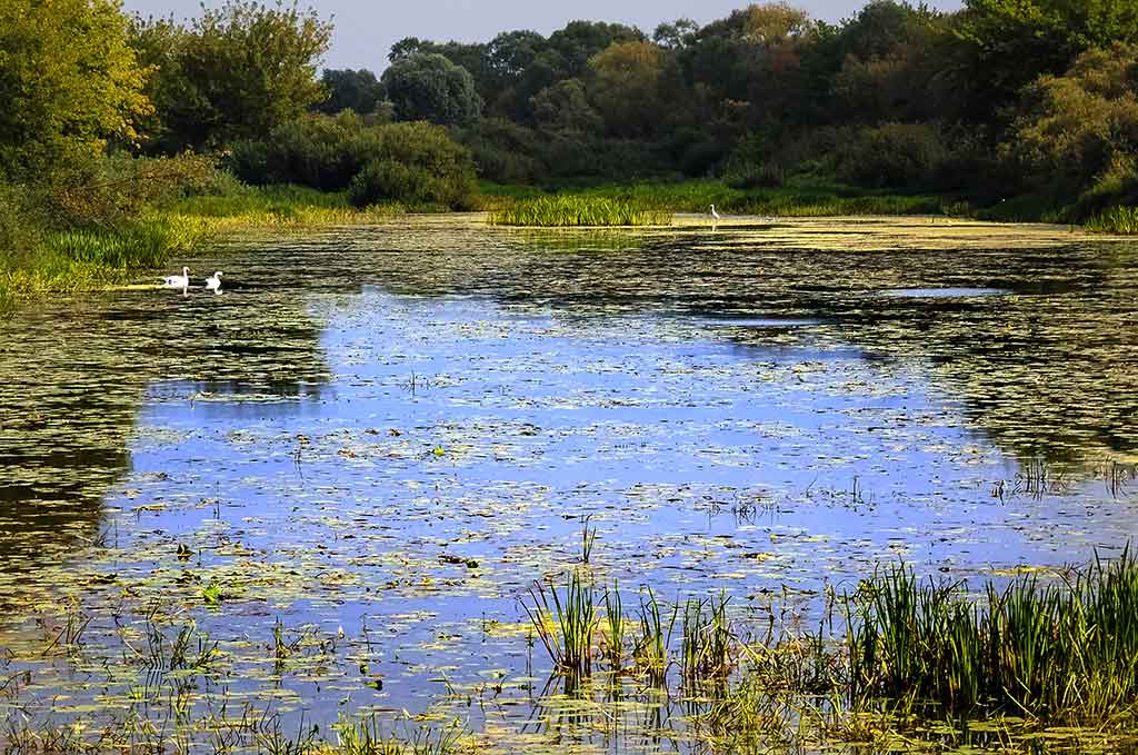 Kur ir kaip žvejoti poperiais Kur ir kaip žvejoti poperiais