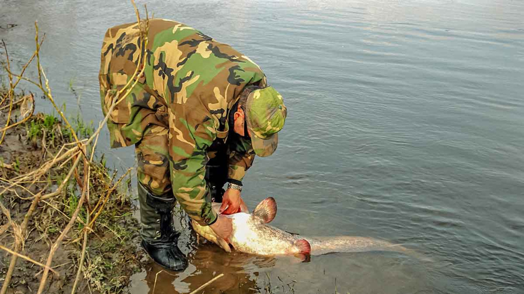 Senelio blizgės ir šamo medžioklė. Trečia dalis Senelio blizgės ir šamo medžioklė. Trečia dalis