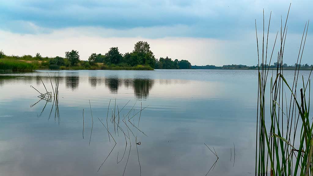 Sužvejokime retai pagaunamą žuvį. Amūras – pliusas ar minusas mūsų vandenims? Sužvejokime retai pagaunamą žuvį. Amūras – pliusas ar minusas mūsų vandenims?