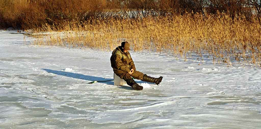 Kur surasti žiemą raudžių Kur surasti žiemą raudžių