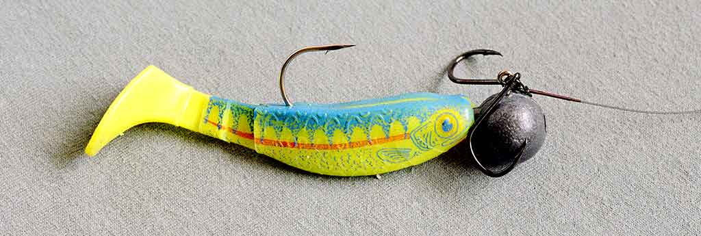 2 pav. Silikoninis masalas Salmo 2 pav. Silikoninis masalas Salmo