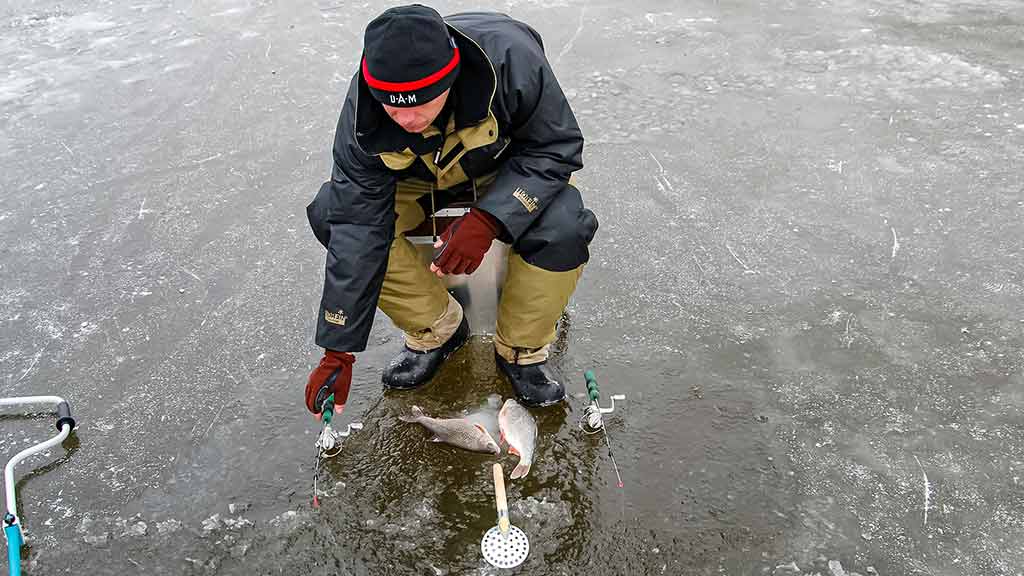 Minijoje ir šalia jos Minijoje ir šalia jos
