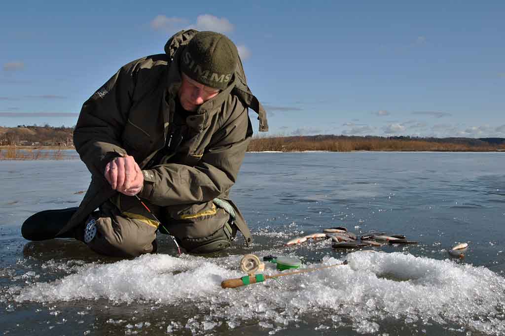 Vangios kuojos žūklė avižėle Vangios kuojos žūklė avižėle