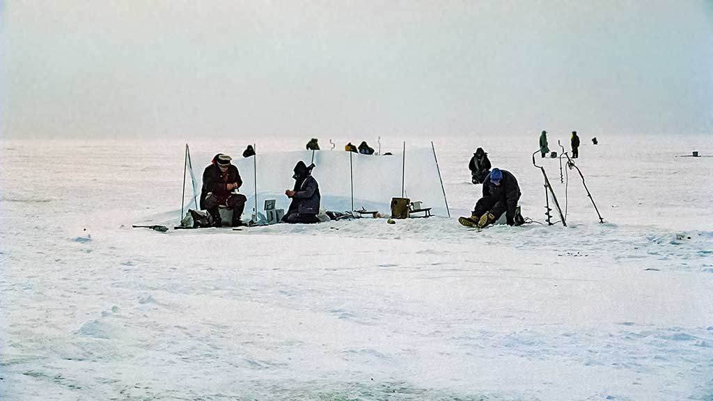 Kuršmarėse kimba ne vien stintos. Antra dalis Kuršmarėse kimba ne vien stintos. Antra dalis